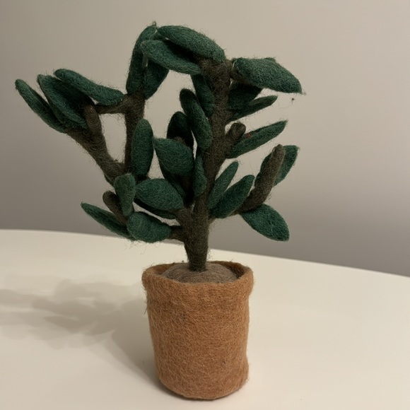 West elm felt succulent - Picture 5 of 5